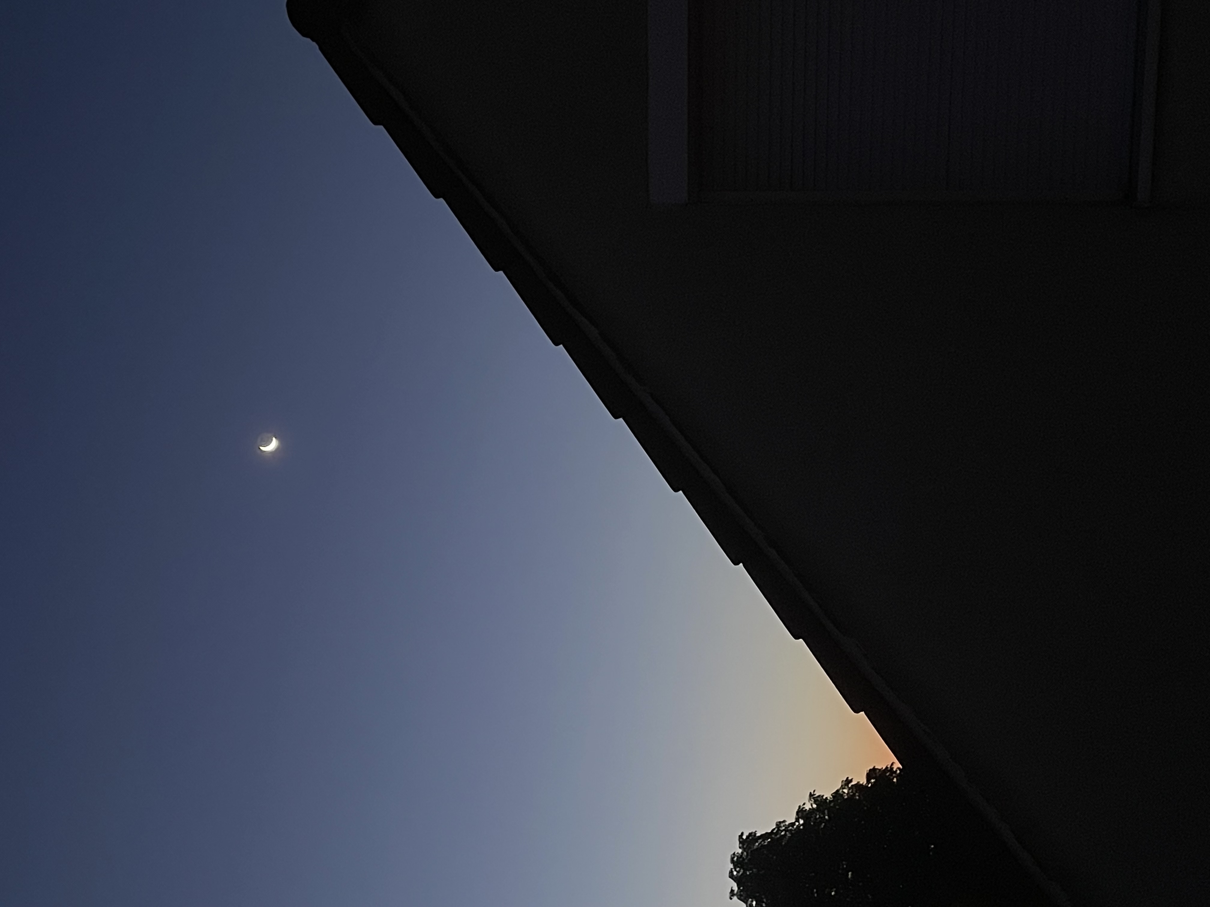 IMG_2888.jpeg