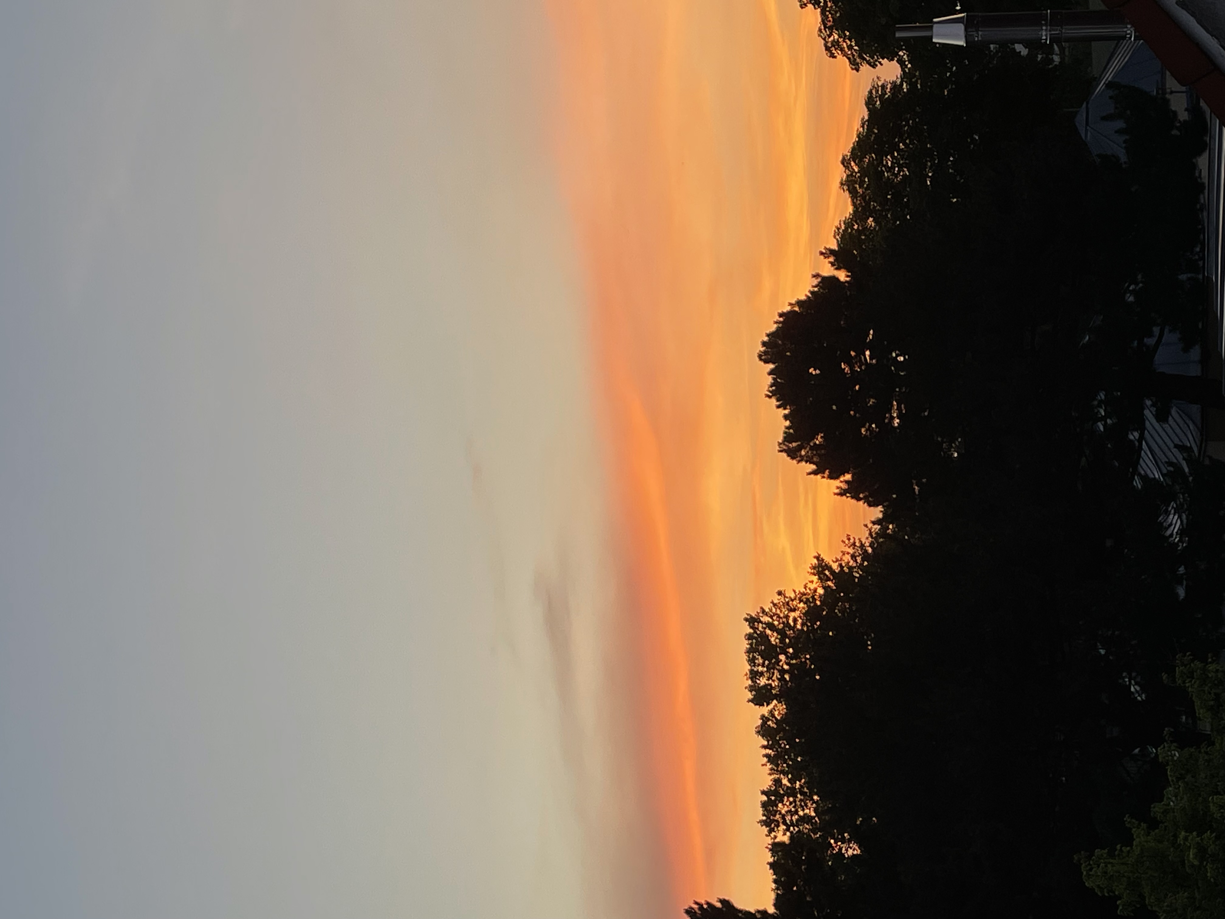 IMG_2740.jpeg